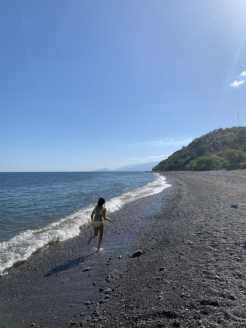 Отдых в Приветном под Алуштой 2021 в Крыму у моря – «Грифон»